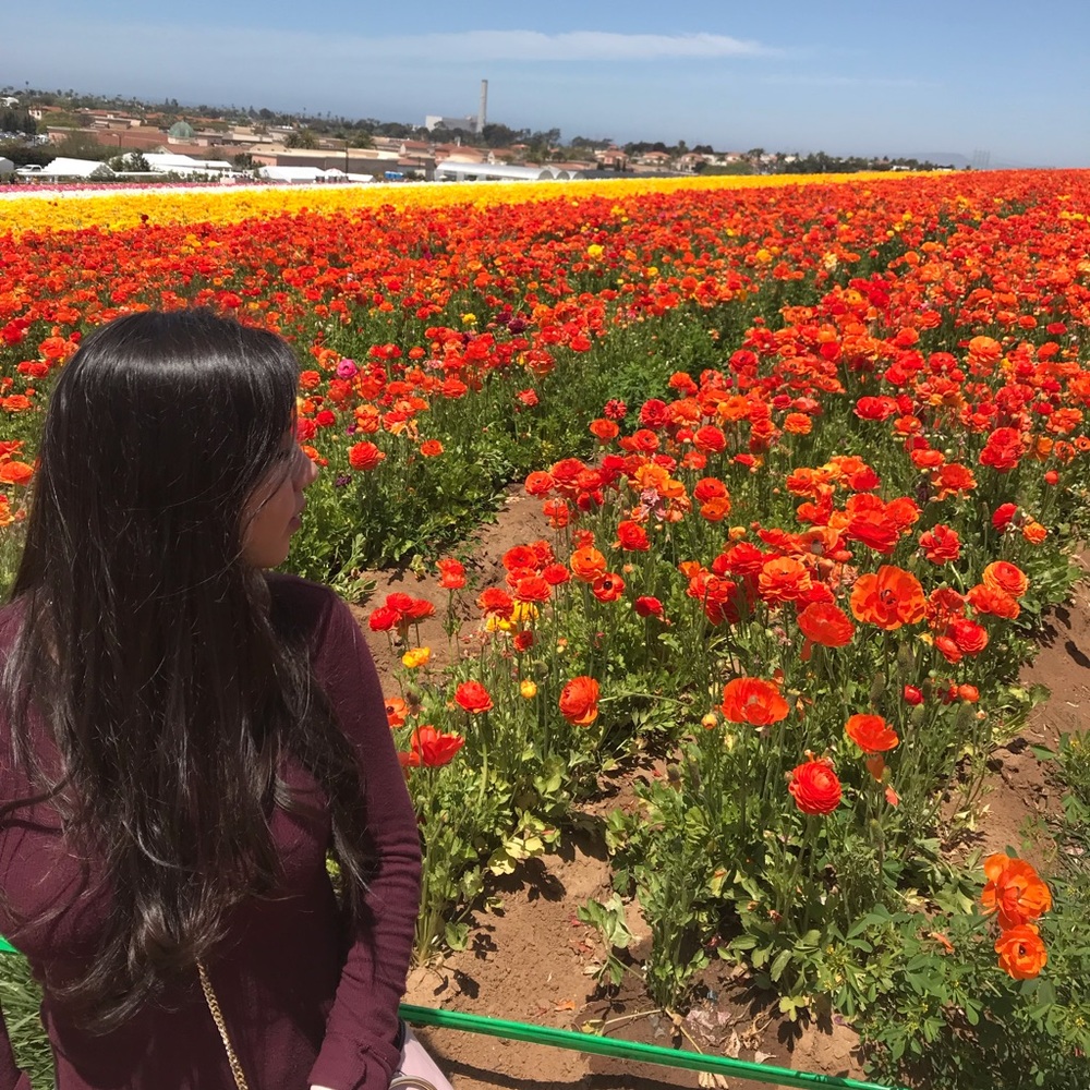 Meet your Posher, Krystal